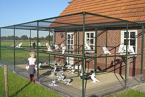 Een kijkje bij Robin Woudstra
