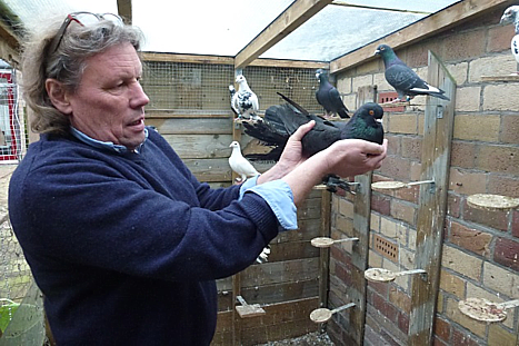 Bij Leo van Lubeek in Bergharen