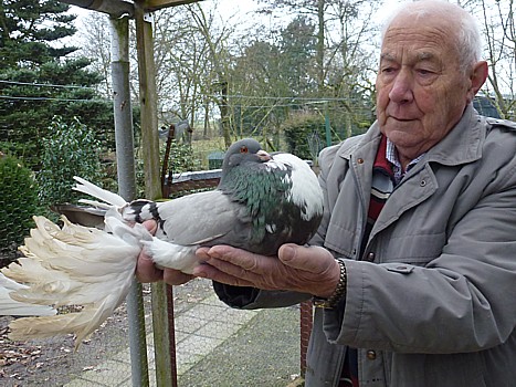 Naar Henk Snijders in Almelo