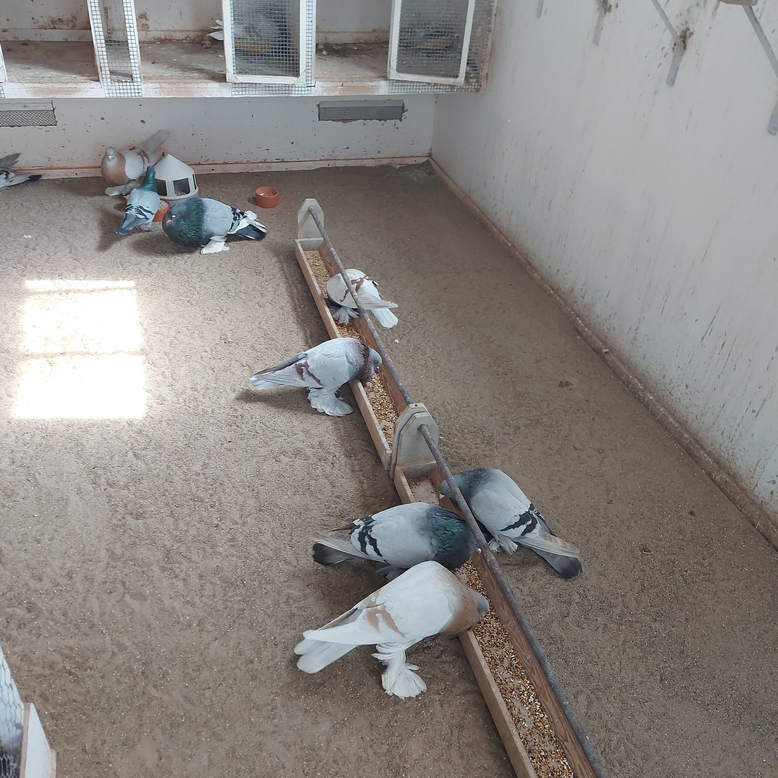 Zaterdag bij Dik van Putten