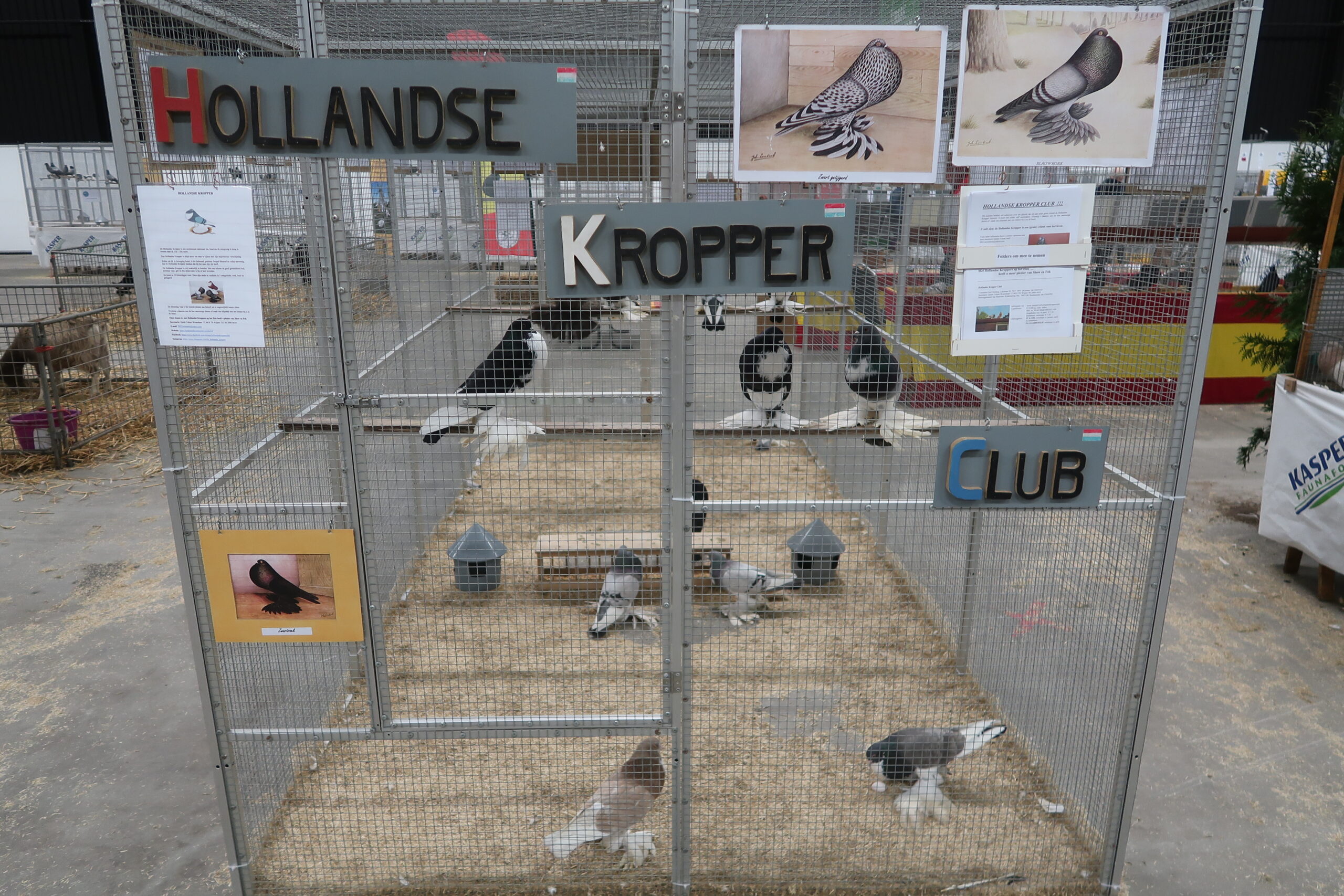 HKC 99e Clubshow bij de Noordshow januari 2023 (Hardenberg)