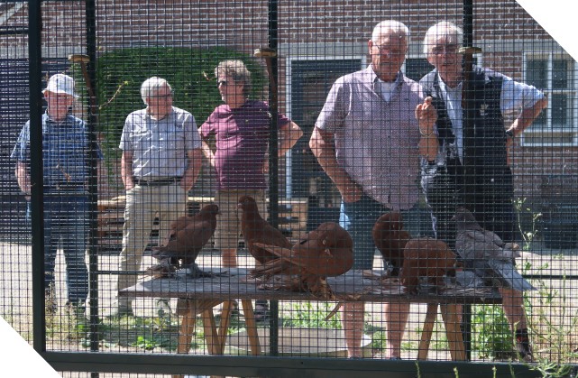 HKC Hokkenbezoek: Zaterdag 20 juni 2026 – Twente