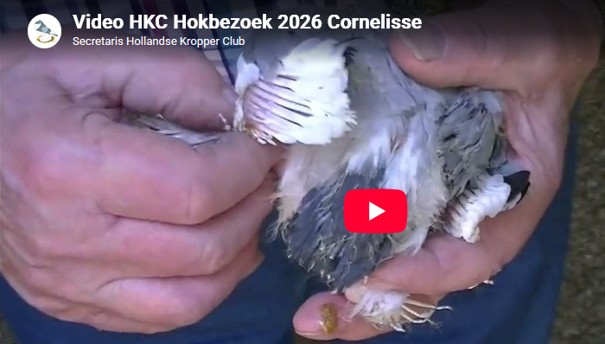 Videoverslag HKC Hokkenbezoek 2026